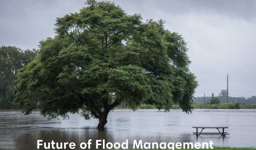 Flood Management Brisbane